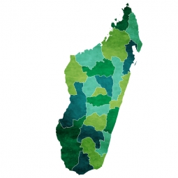  Magnetická mapa Madagaskaru, ilustrovaná, zelená