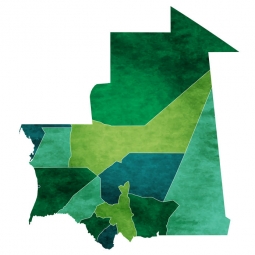  Magnetická mapa Mauritánie, ilustrovaná, zelená