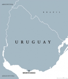  Magnetická mapa Uruguay, ilustrovaná, šedá