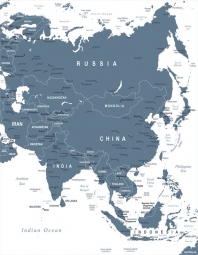  Magnetická mapa Asie, ilustrovaná, šedá