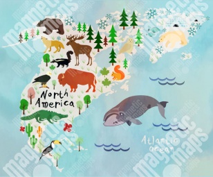  Magnetická mapa Severní Ameriky, kreslená, barevná